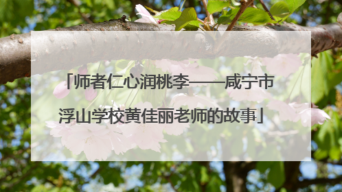 师者仁心润桃李——咸宁市浮山学校黄佳丽老师的故事