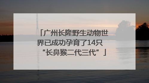 广州长隆野生动物世界已成功孕育了14只“长鼻猴二代三代”