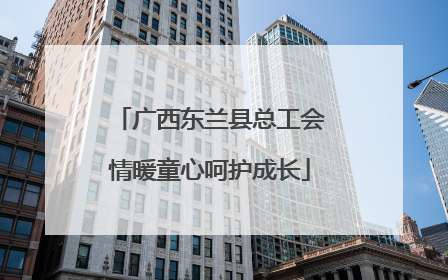 广西东兰县总工会情暖童心呵护成长
