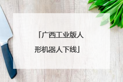 广西工业版人形机器人下线