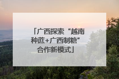 广西探索“越南种蔗+广西制糖”合作新模式