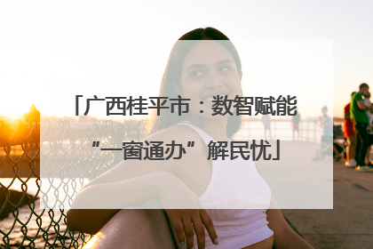 广西桂平市：数智赋能“一窗通办”解民忧