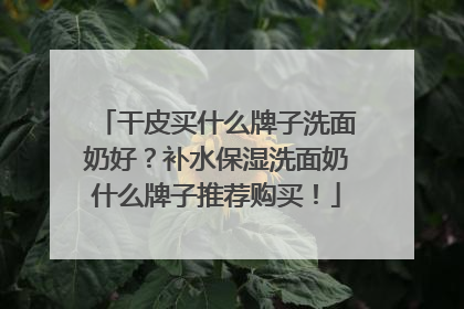 干皮买什么牌子洗面奶好？补水保湿洗面奶什么牌子推荐购买！