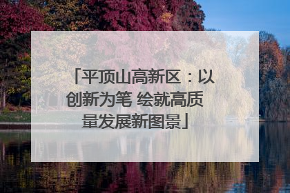 平顶山高新区：以创新为笔 绘就高质量发展新图景