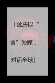 延庆以“薯”为媒，对话全球