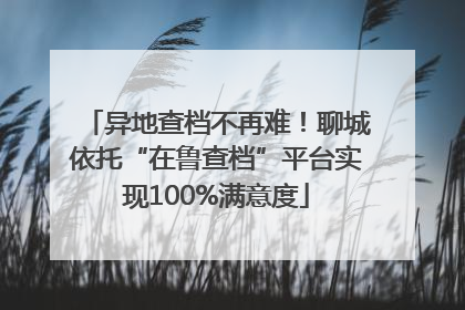 异地查档不再难！聊城依托“在鲁查档”平台实现100%满意度