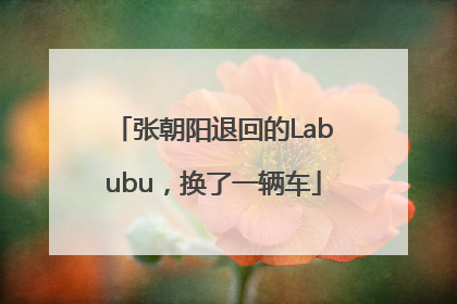 张朝阳退回的Labubu，换了一辆车