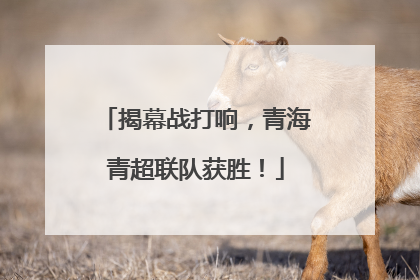 揭幕战打响，青海青超联队获胜！