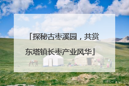 探秘古枣溪园，共赏东塔镇长枣产业风华
