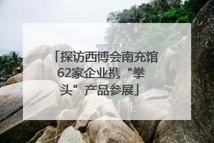 探访西博会南充馆 62家企业携“拳头”产品参展