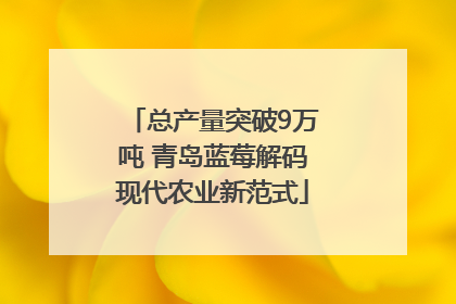 总产量突破9万吨 青岛蓝莓解码现代农业新范式