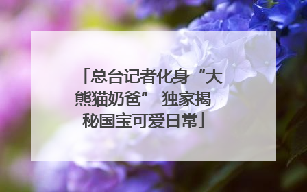 总台记者化身“大熊猫奶爸” 独家揭秘国宝可爱日常
