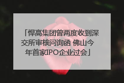 悍高集团曾两度收到深交所审核问询函 佛山今年首家IPO企业过会