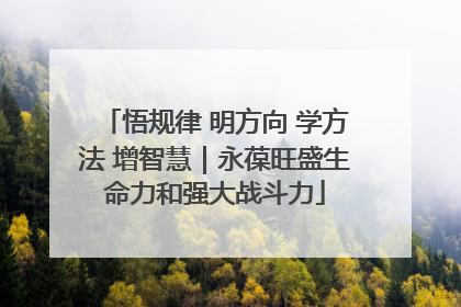悟规律 明方向 学方法 增智慧｜永葆旺盛生命力和强大战斗力