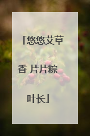 悠悠艾草香 片片粽叶长