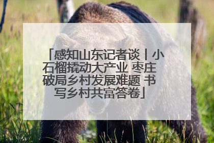 感知山东记者谈丨小石榴撬动大产业 枣庄破局乡村发展难题 书写乡村共富答卷