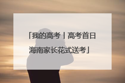 我的高考丨高考首日 海南家长花式送考
