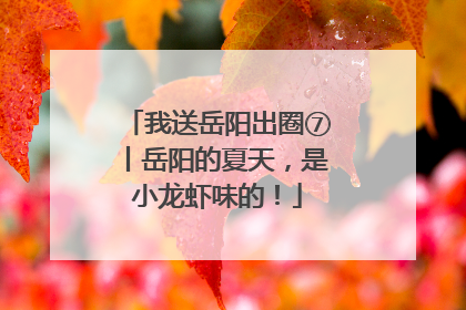 我送岳阳出圈⑦丨岳阳的夏天，是小龙虾味的！