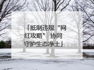 抵制违规“网红攻略” 协同守护生态净土
