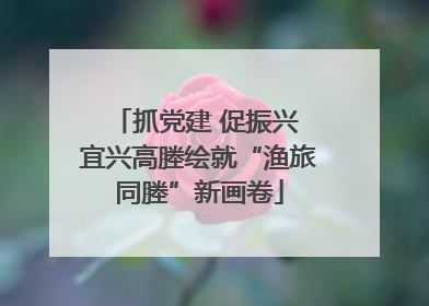 抓党建 促振兴 宜兴高塍绘就“渔旅同塍”新画卷