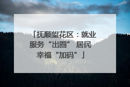 抚顺望花区：就业服务“出圈” 居民幸福“加码”
