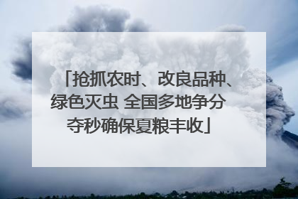 抢抓农时、改良品种、绿色灭虫 全国多地争分夺秒确保夏粮丰收