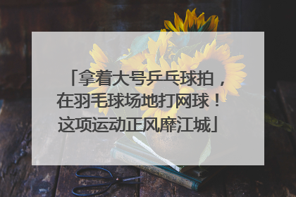 拿着大号乒乓球拍，在羽毛球场地打网球！这项运动正风靡江城