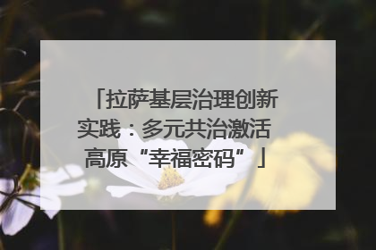 拉萨基层治理创新实践：多元共治激活高原“幸福密码”