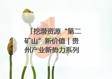 挖潜资源“第二矿山”新价值｜贵州产业新势力系列报道之十四