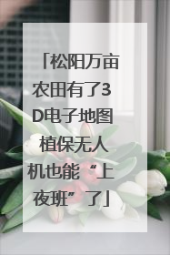 松阳万亩农田有了3D电子地图 植保无人机也能“上夜班”了