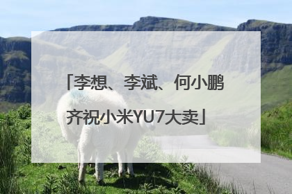 李想、李斌、何小鹏齐祝小米YU7大卖