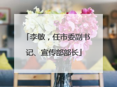 李敏，任市委副书记、宣传部部长