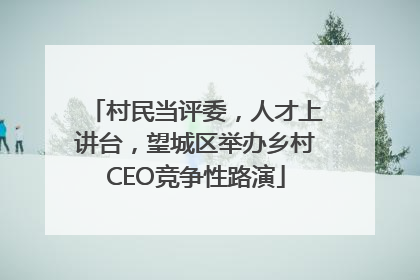 村民当评委，人才上讲台，望城区举办乡村CEO竞争性路演