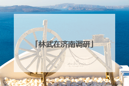 林武在济南调研