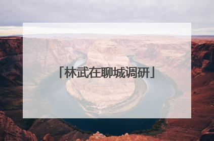 林武在聊城调研