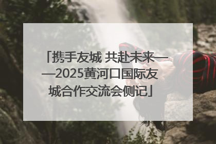 携手友城 共赴未来——2025黄河口国际友城合作交流会侧记