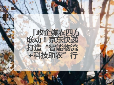 政企媒农四方联动！京东快递打造“智能物流+科技助农”行业直播新标杆