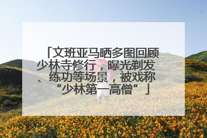 文班亚马晒多图回顾少林寺修行，曝光剃发、练功等场景，被戏称“少林第一高僧”