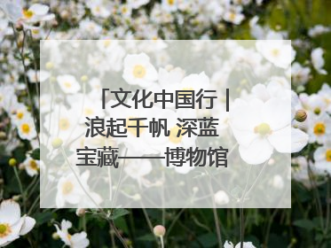 文化中国行｜浪起千帆 深蓝宝藏——博物馆里的海丝遗珍