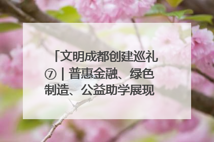 文明成都创建巡礼⑦｜普惠金融、绿色制造、公益助学展现城市文明底色