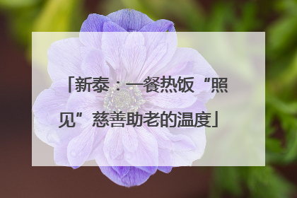 新泰：一餐热饭“照见”慈善助老的温度