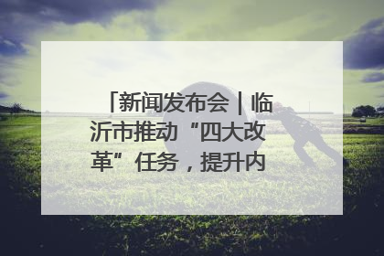 新闻发布会｜临沂市推动“四大改革”任务，提升内部审计监督效能