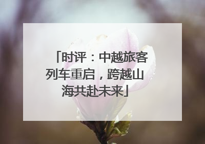 时评：中越旅客列车重启，跨越山海共赴未来
