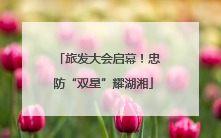 旅发大会启幕！忠防“双星”耀湖湘