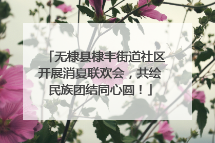 无棣县棣丰街道社区开展消夏联欢会，共绘民族团结同心圆！