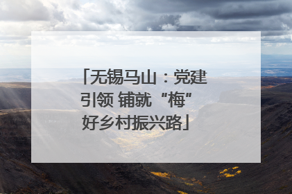 无锡马山：党建引领 铺就“梅”好乡村振兴路