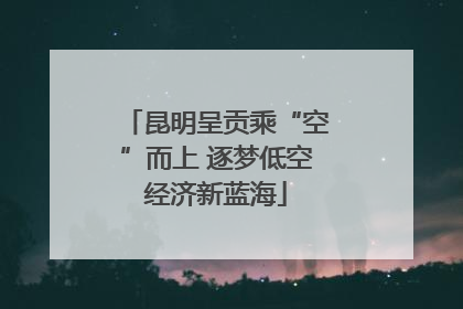 昆明呈贡乘“空”而上 逐梦低空经济新蓝海