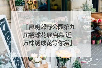 昆明郊野公园第九届绣球花展启幕 近万株绣球花等你赏