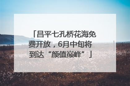 昌平七孔桥花海免费开放，6月中旬将到达“颜值巅峰”