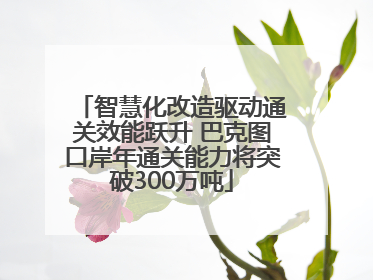 智慧化改造驱动通关效能跃升 巴克图口岸年通关能力将突破300万吨
